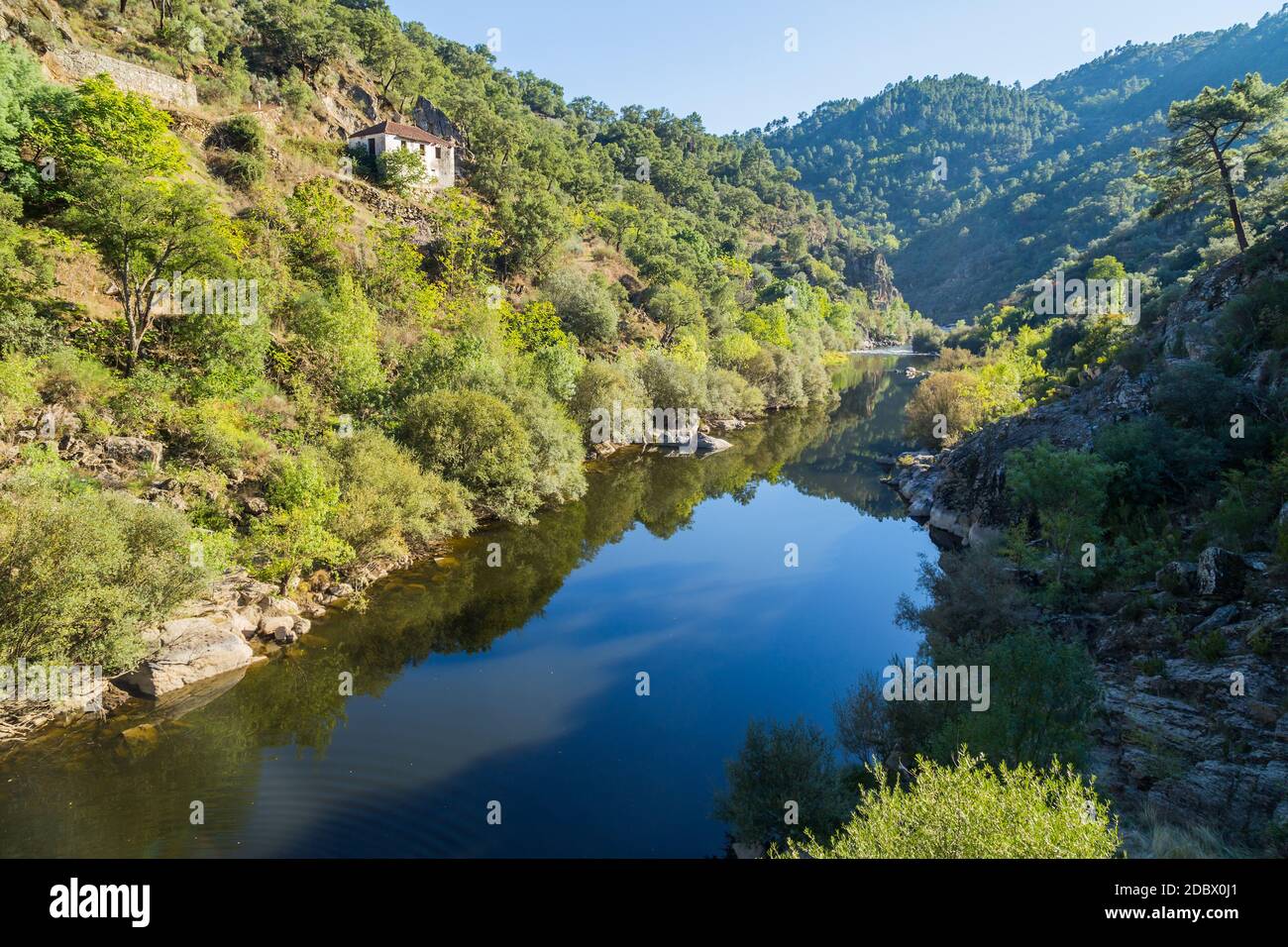 Valle del Douro e fiume, vicino a Foz COA, Portogallo Foto Stock