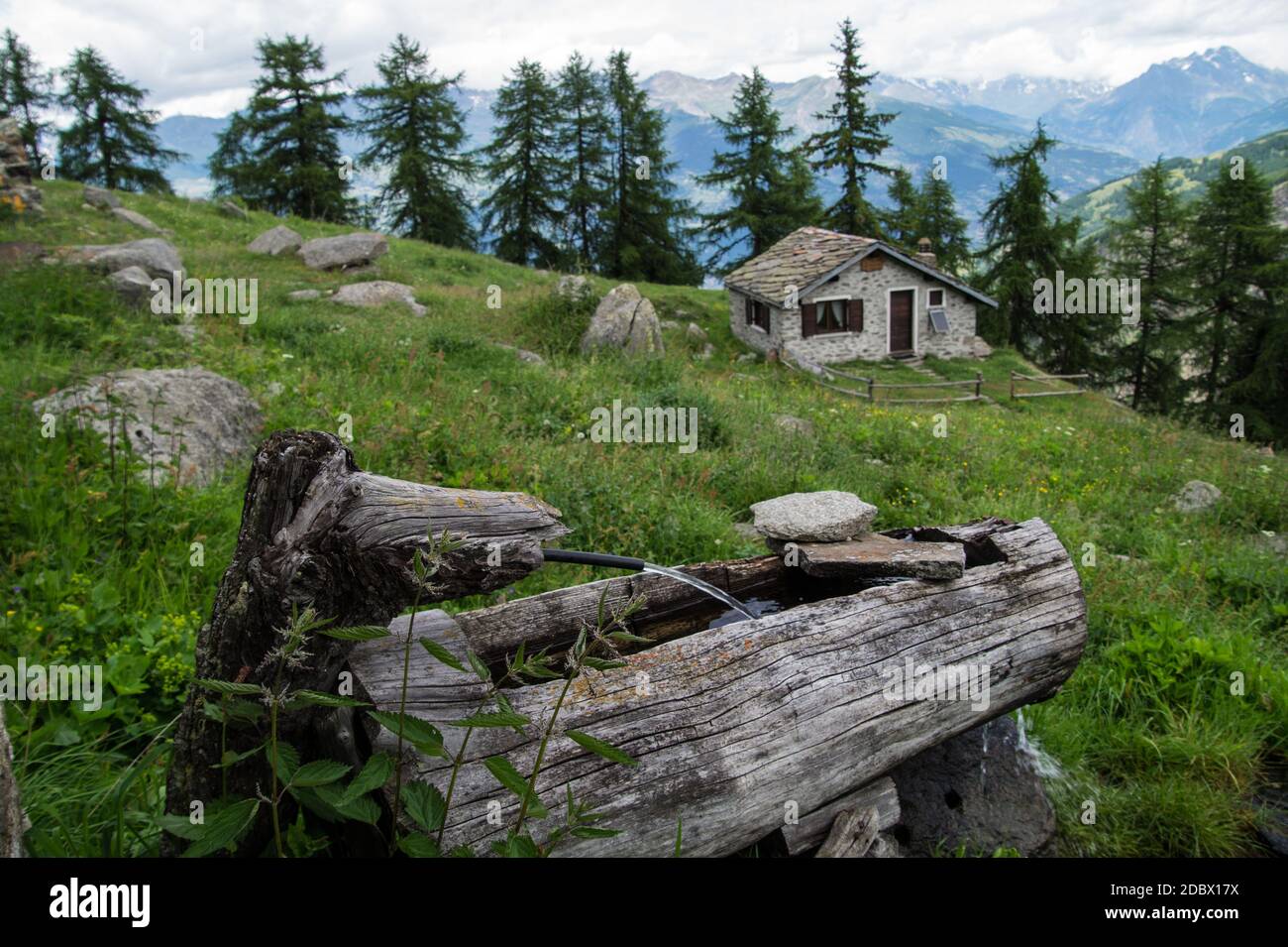 Chantelle,Parc du grand paradis,val d'Aosta, Italia Foto Stock