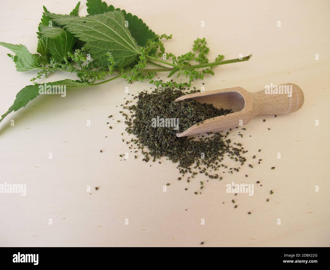 Ortica e semi di ortica essiccati su una tavola di legno Foto Stock