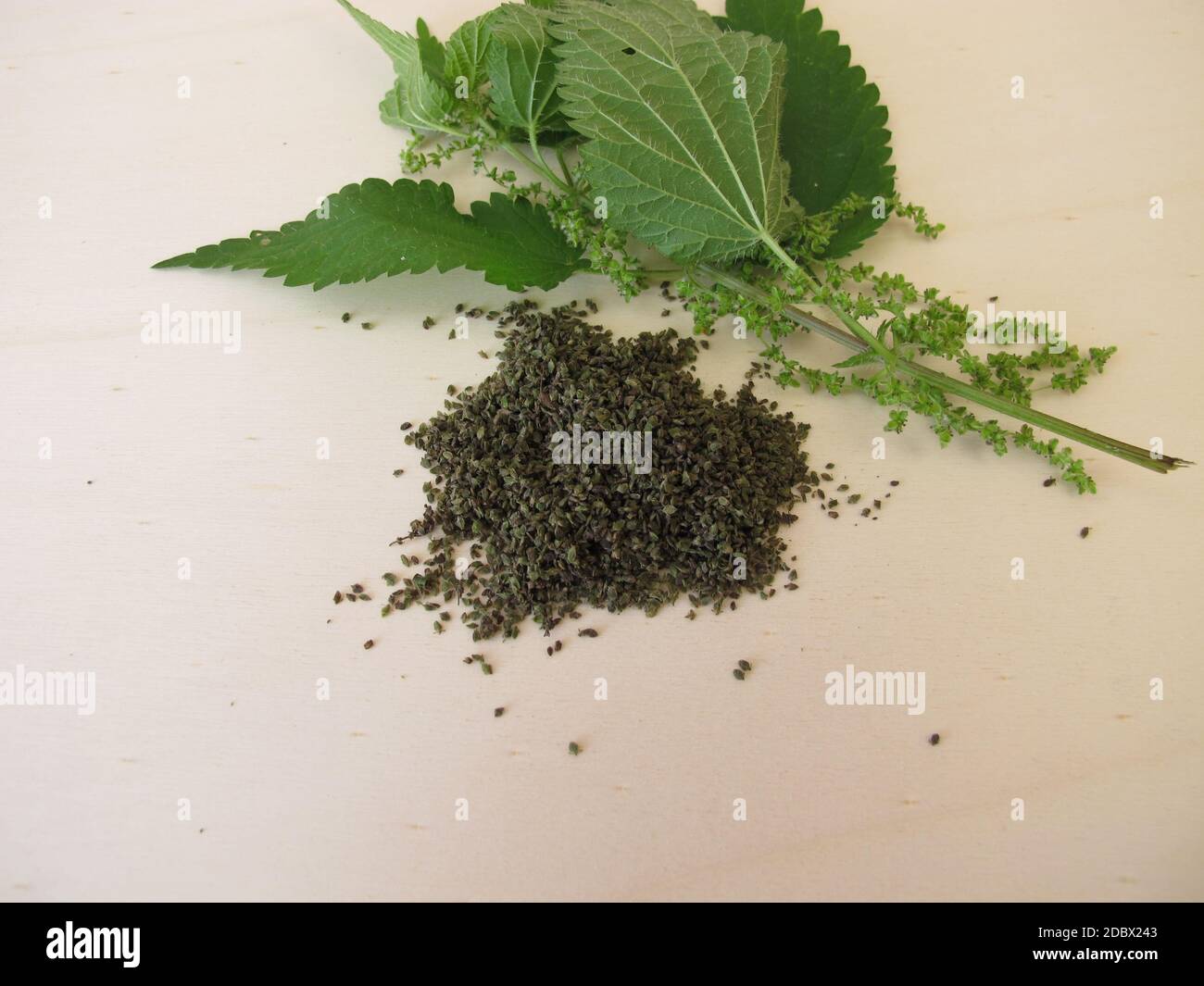 Ortica e semi di ortica essiccati su una tavola di legno Foto Stock