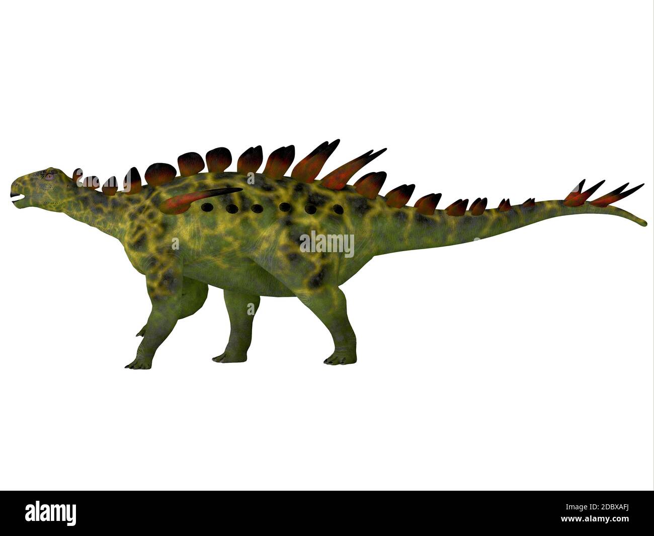 Huayangosaurus era un blindato dinosauro erbivoro che visse nel Giurassico della Cina. Foto Stock