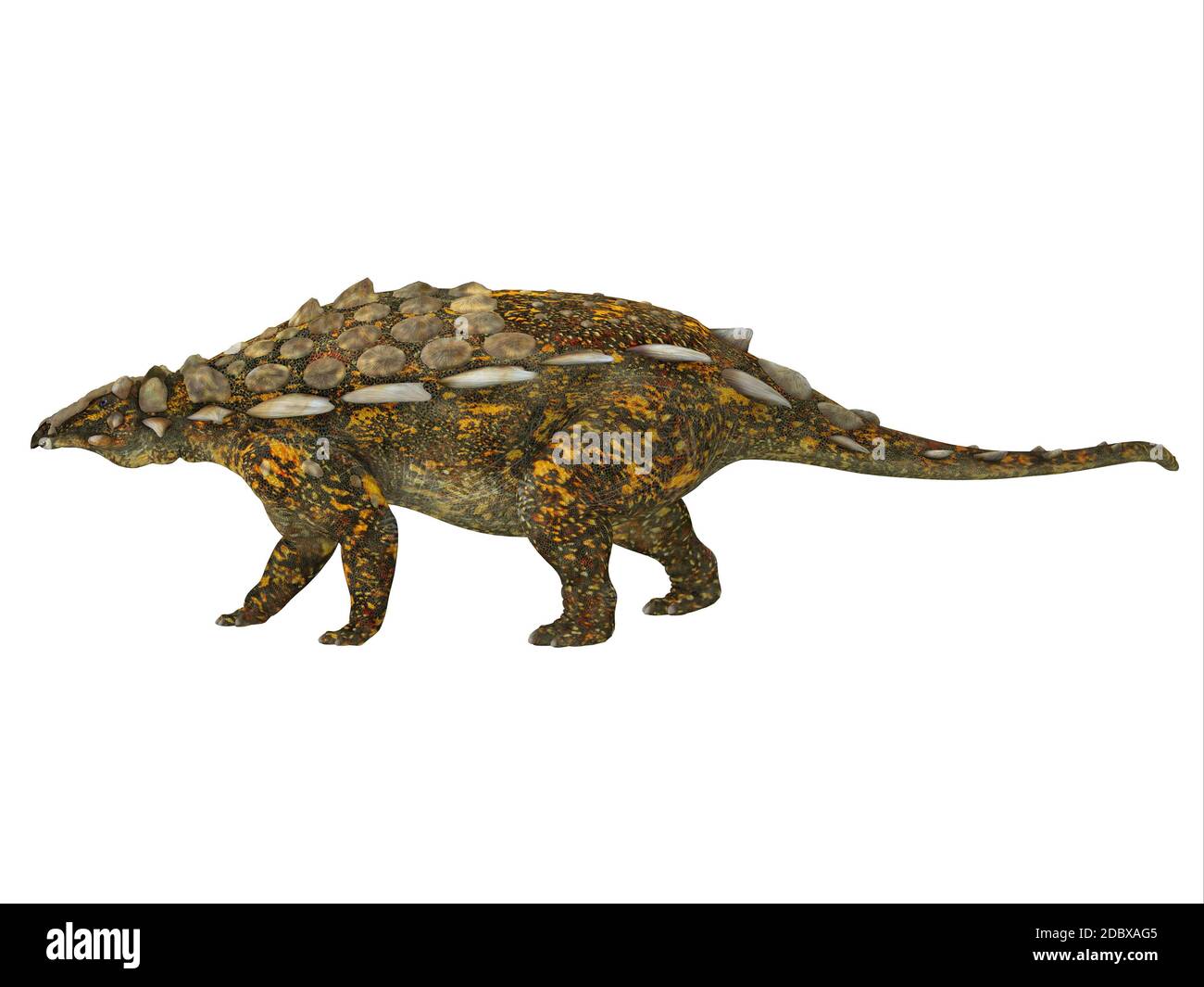 Gargoyleosaurus era un dinosauro erbivoro corazzato di anchilosauri che visse nell'era giurassica del Wyoming, in Nord America. Foto Stock