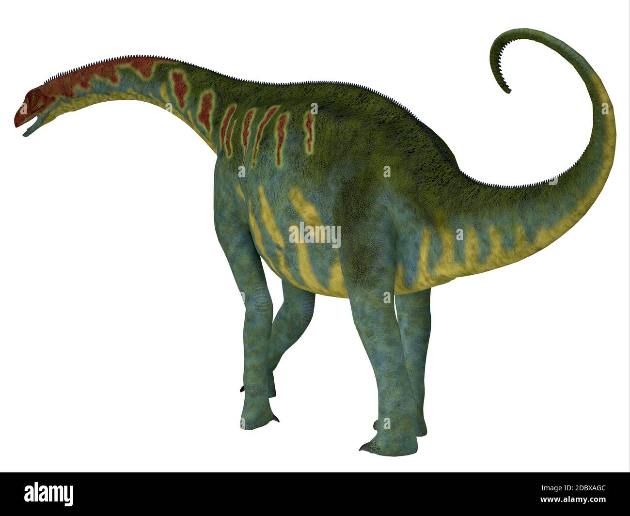 Jobaria era un erbivoro sauropod dinosaur che visse nel Giurassico del deserto del Sahara in Africa. Foto Stock