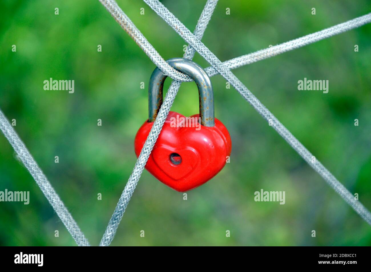 Lucchetto rosso a forma di cuore appeso sulle corde su sfondo verde Foto Stock