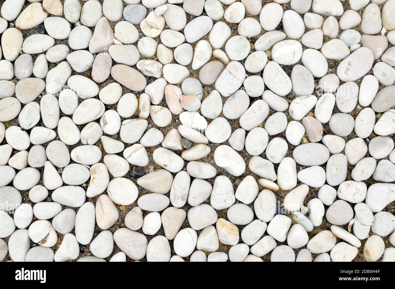 Sfondo di ciottoli bianchi in pietra liscia Foto Stock