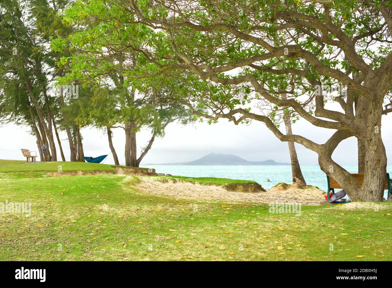 Vuota spiaggia erbosa di Kailua con alberi lungo la costa tropicale dell'oceano a Oahu, Hawaii Foto Stock