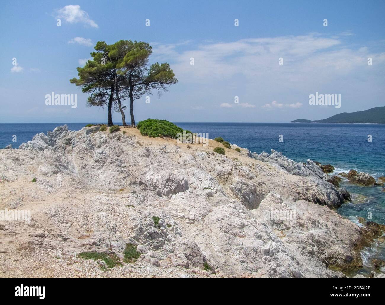 Alberi sulle rocce di Amarantos sull'isola di Skopelos alle Sporadi in Grecia Foto Stock