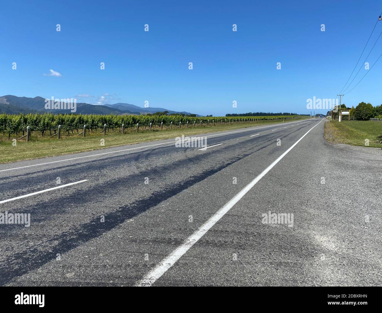 Vigneti a bordo strada nella regione vinicola di Marlborough, Nuova Zelanda Foto Stock