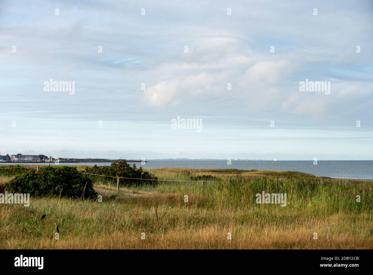 Zona costiera Foto Stock