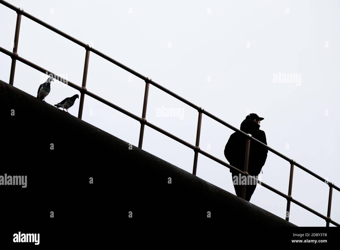 Persona singola che cammina da sola sul wintery lungomare passerella a parte due piccioni. Teignmouth, Devon, Inghilterra, Regno Unito. Foto Stock