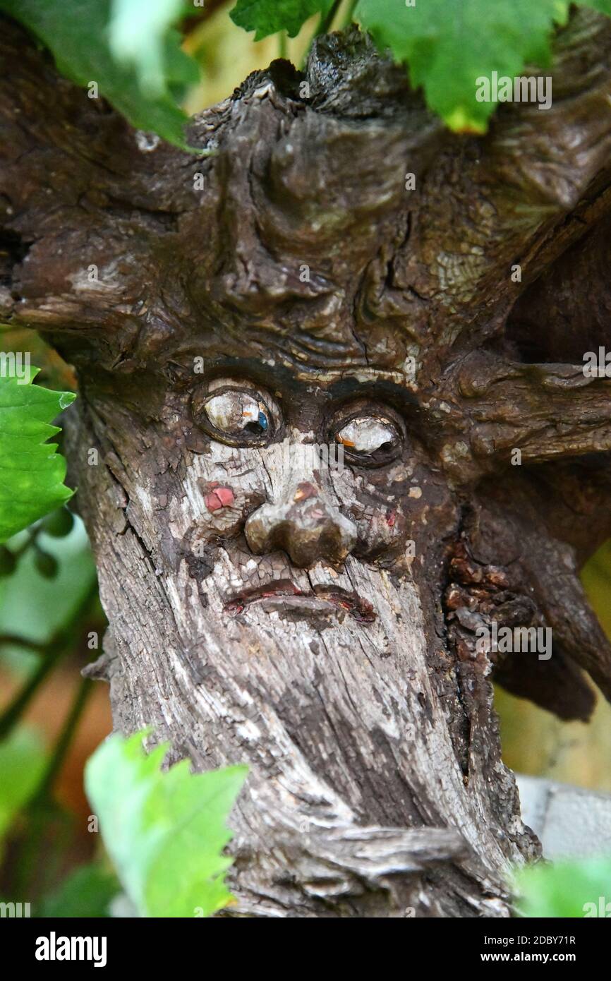 Vecchio spirito di foresta in un albero Foto Stock