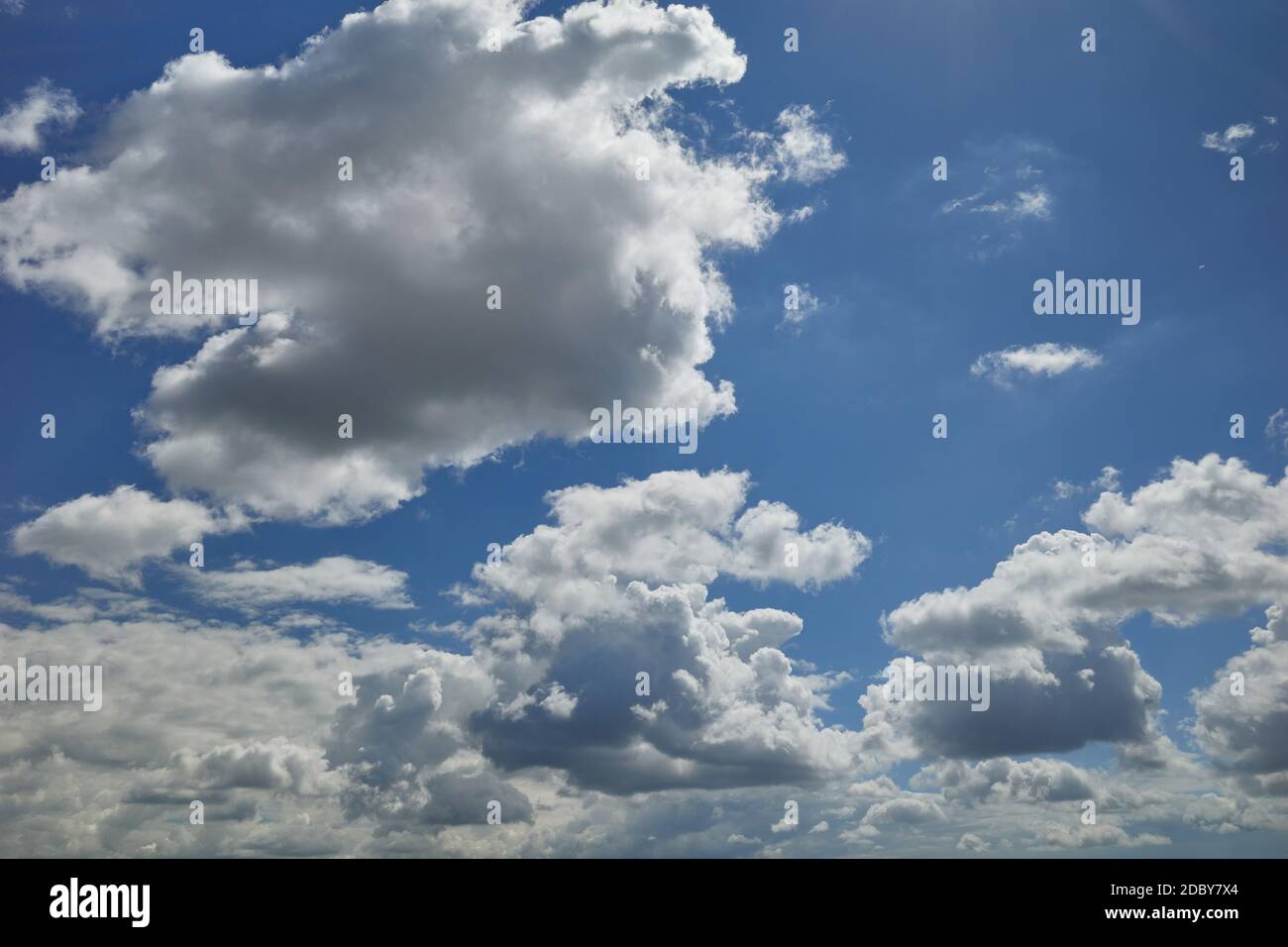 Il morbido cumulo a forma di cavolfiore nel cielo blu Foto Stock