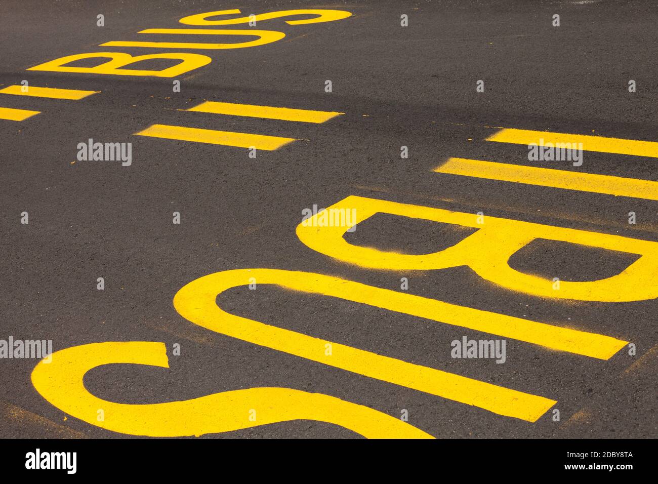 l'autobus ferma lungo una strada Foto Stock