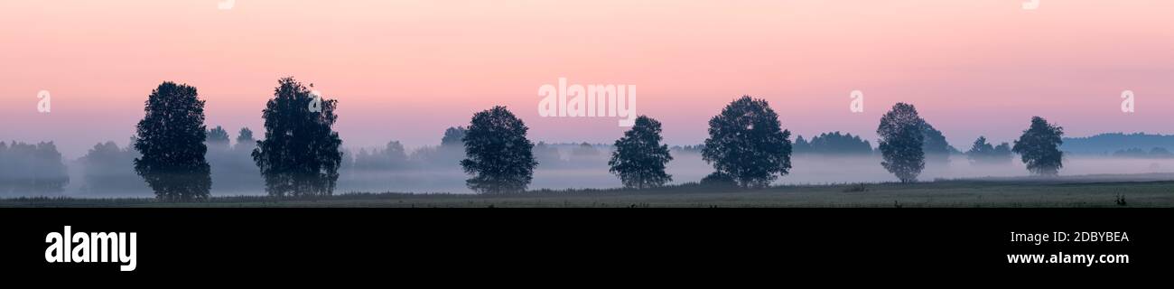 Geografia / viaggio, Germania, Baviera, Benediktbeuern, albero nel cielo rosso, Benediktbeuern, Toelzer LAN, Additional-Rights-Clearance-Info-non-disponibile Foto Stock