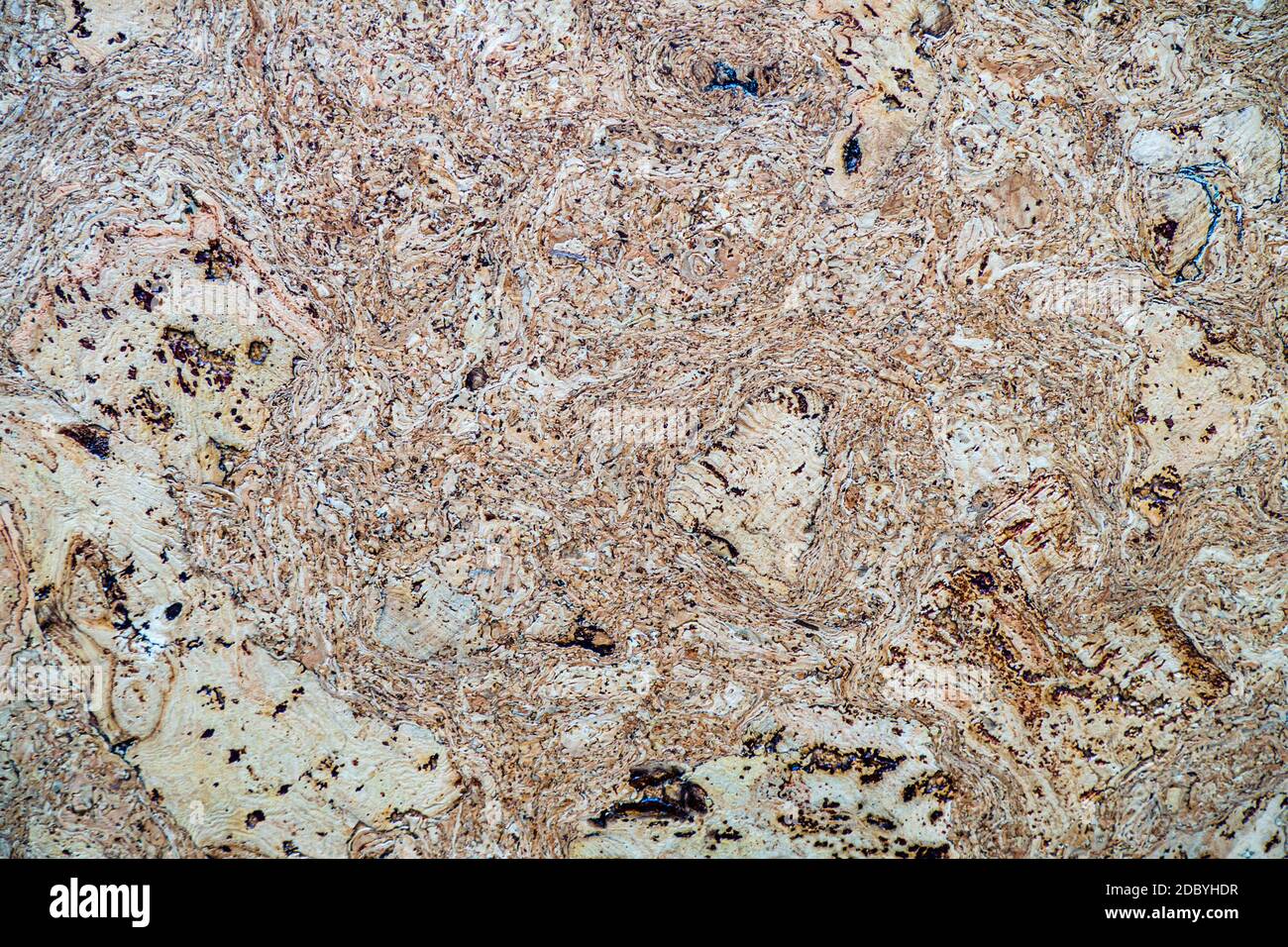 Legno di fondo superficie naturale modello. Trama naturale Foto Stock