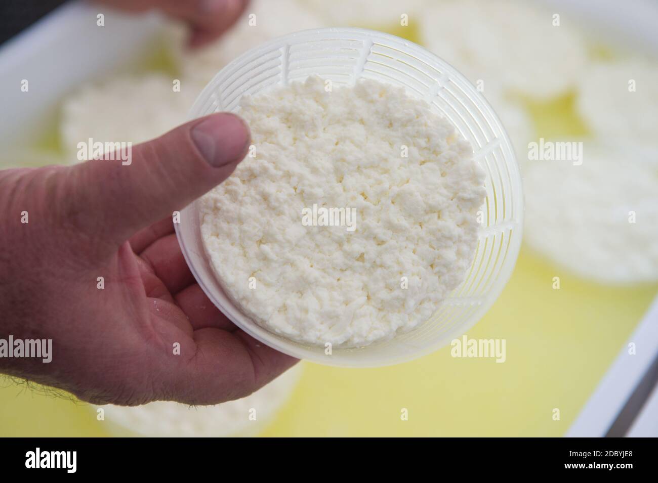 La mano del dairyman tiene una padella appena fatta in casa di latte di pecora Ricotta tipica del Lazio vicino a Roma nel centro Italia Foto Stock
