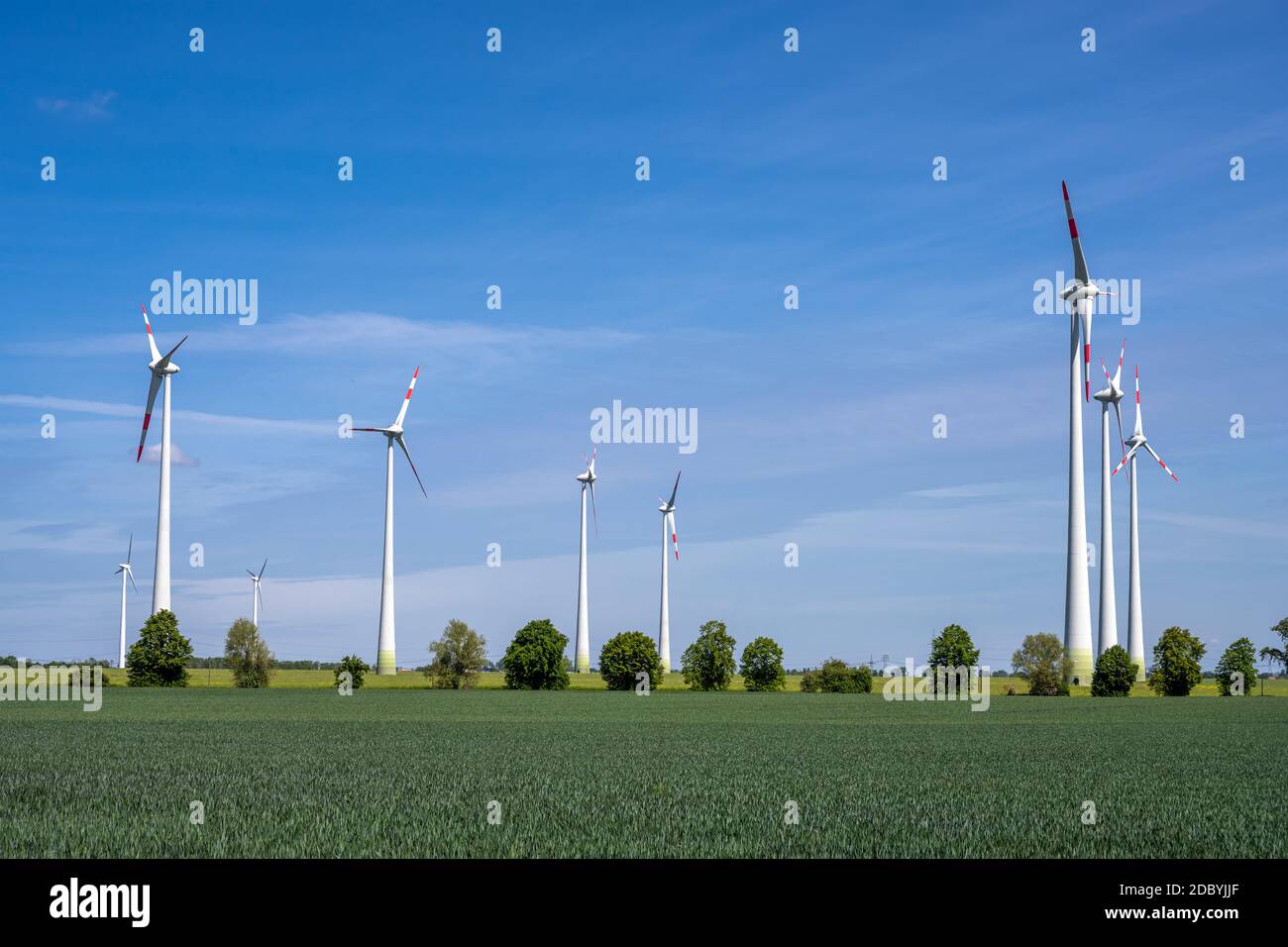 Turbine eoliche in visto in Brandeburgo, Germania Foto Stock