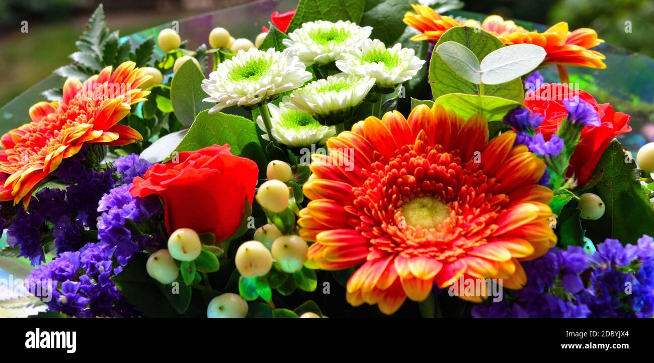 Bouquet di gerbere, rose e felce Foto Stock