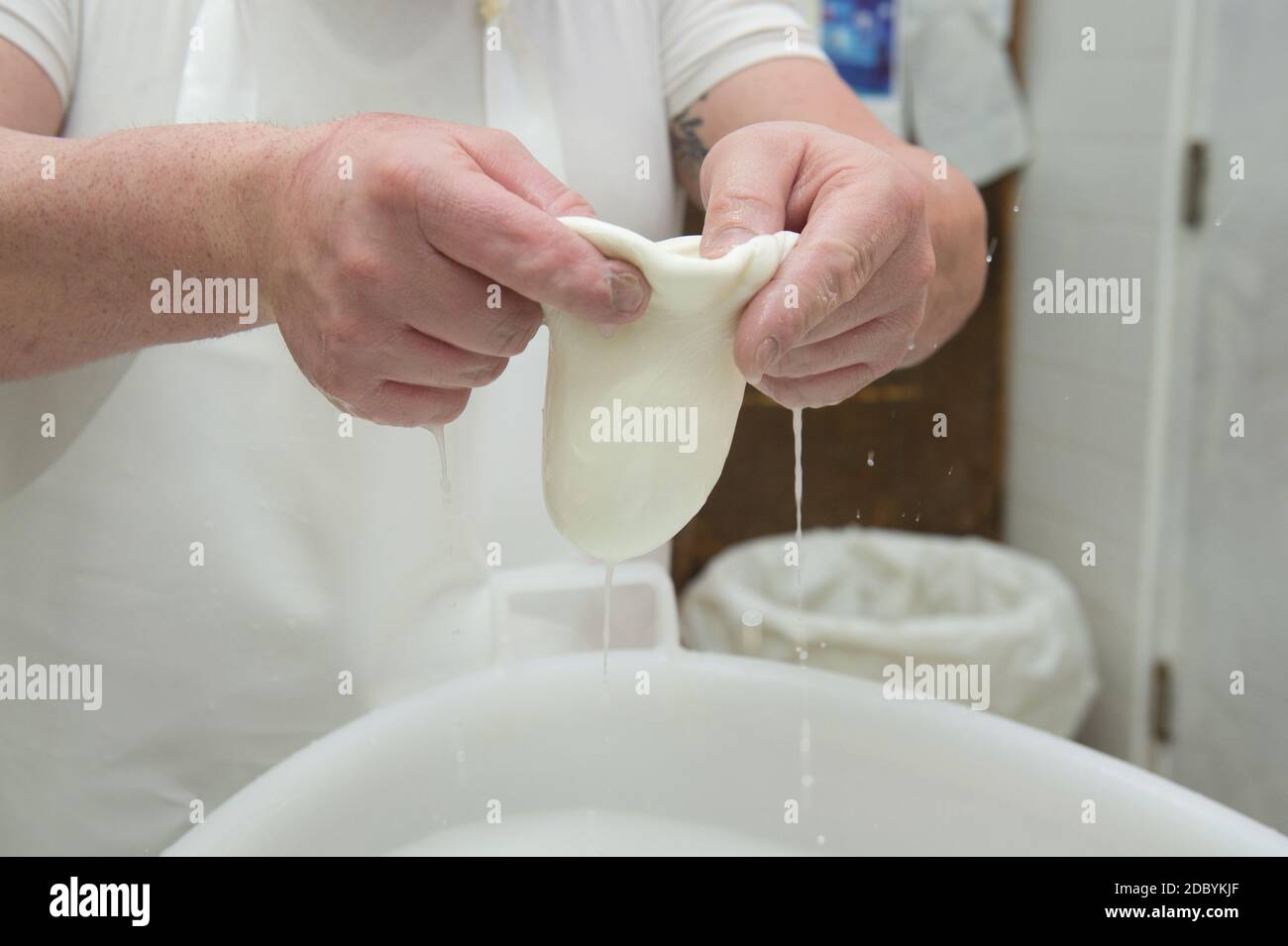produzione della tipica mozzarella pugliese detta burrata, che riempie la burrata. Foto Stock