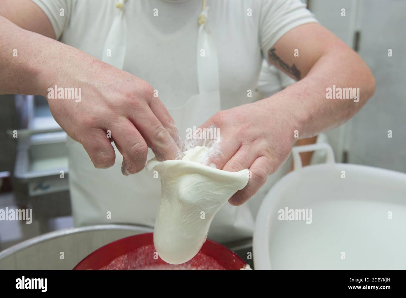 produzione della tipica mozzarella pugliese detta burrata, che riempie la burrata. Foto Stock