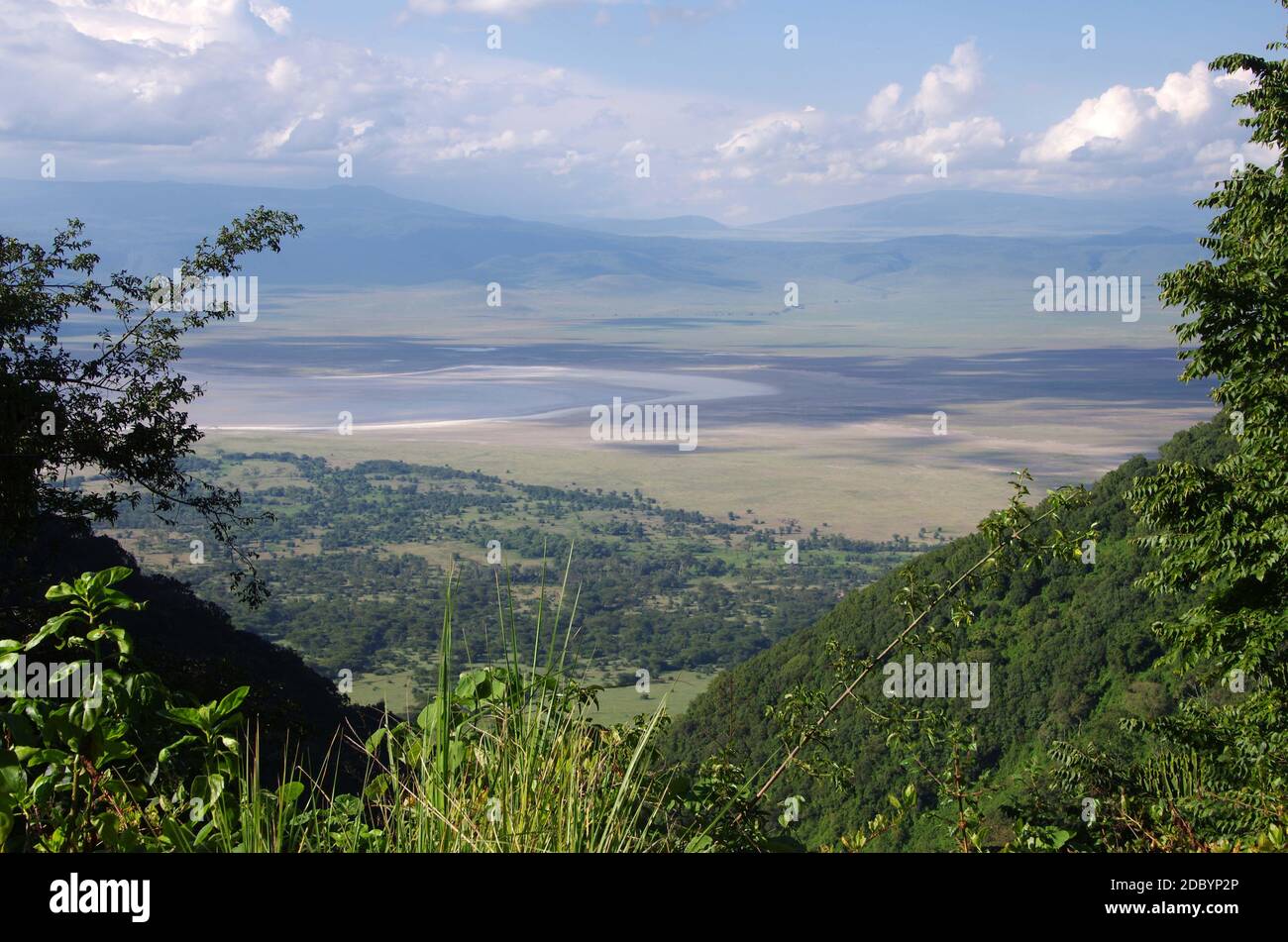 Vista del cratere di Ngorongoro in Tanzania Foto Stock