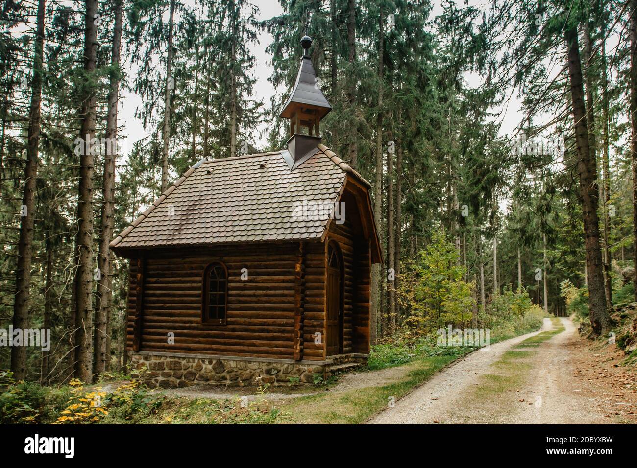 Antico pellegrinaggio in legno cappella rurale in piedi in una foresta Repubblica Ceca, Sumava National Park.Boubin Primeval Forest.Czech National Nature Reserve. Foto Stock