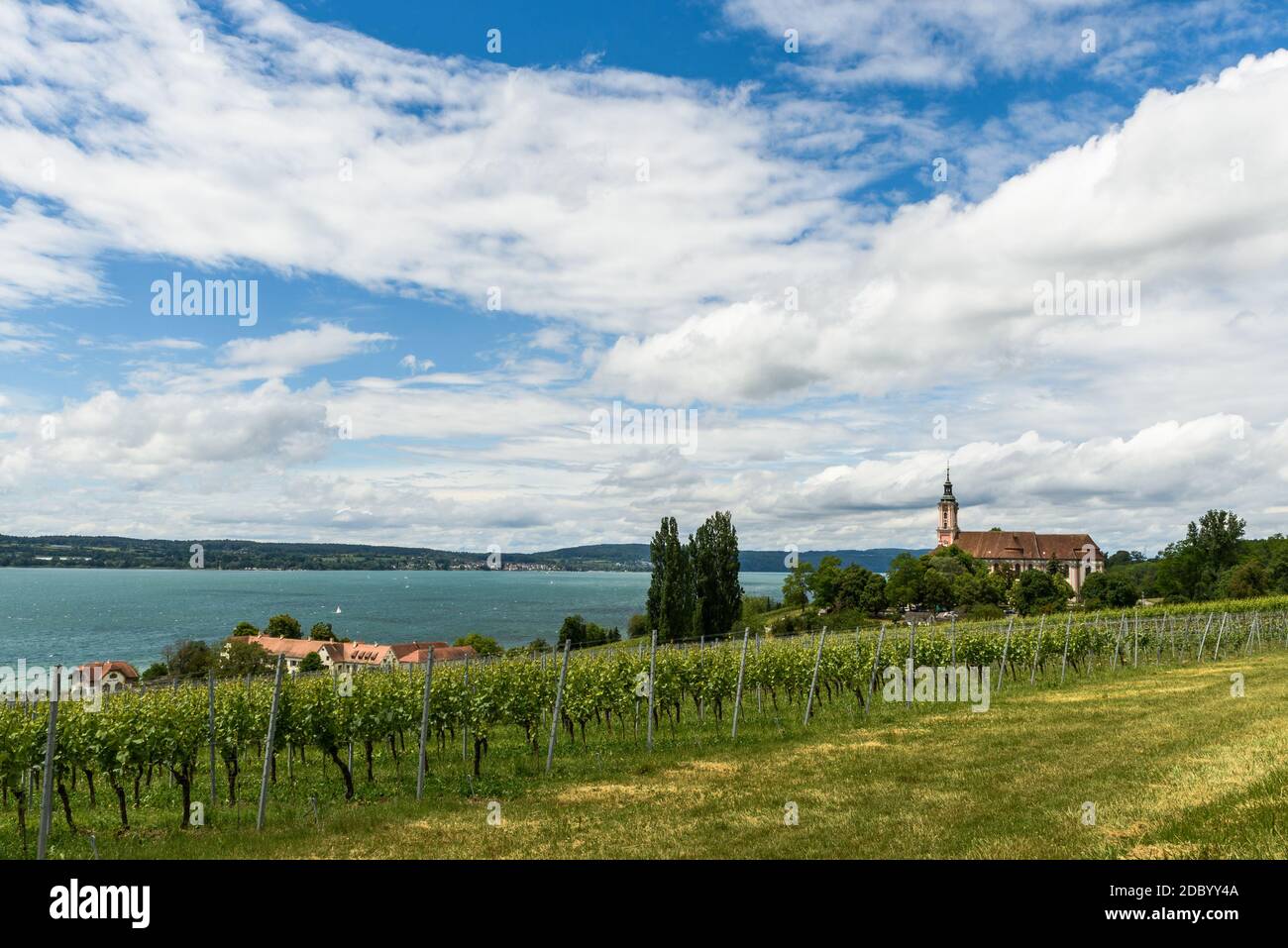 Vista del Lago di Costanza con Basilica Birnau e vigneti, Baden-Wuerttemberg, Germania Foto Stock