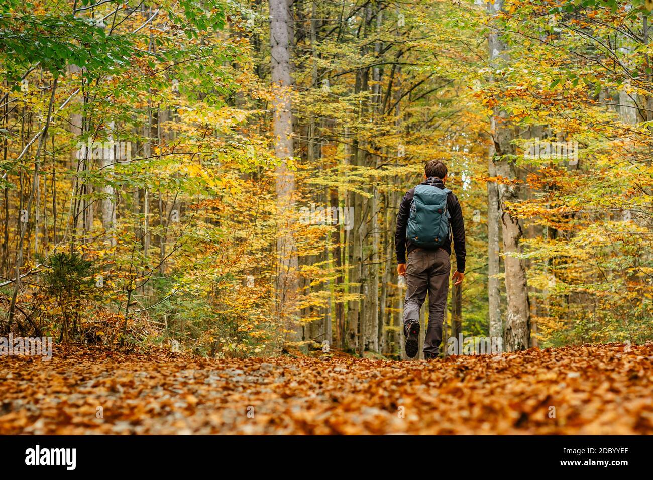 Uomo solitario che cammina in una foresta path.Autumn season.solo sport all'aperto. Distanza sociale. Escursionismo attivo zaino in spalla nella natura colorata. Calda giornata di sole Foto Stock