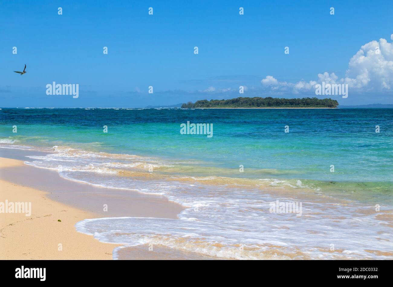 Tropical Ocean Atlantic Beach in Panama Foto Stock