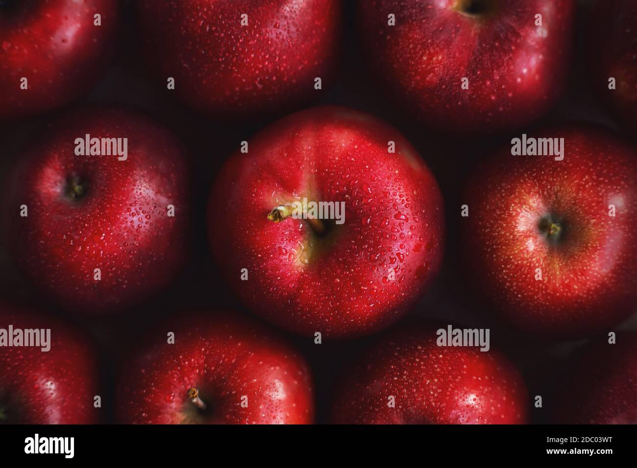 Vista dall'alto di numerose mele grandi di colore rosso dolce maturo, sulla cui superficie gocce d'acqua limpida. Una raccolta di frutta deliziosa. Foto Stock