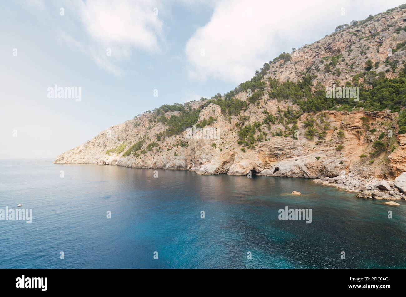 Stagcape a Maiorca. Vacanze nel Mediterraneo Foto Stock