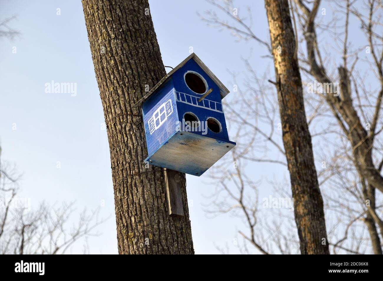 Birdhouse in legno con finestre dipinte e tre fori. Appeso sull'albero in foresta su sfondo cielo. Inizio primavera, Russia Foto Stock