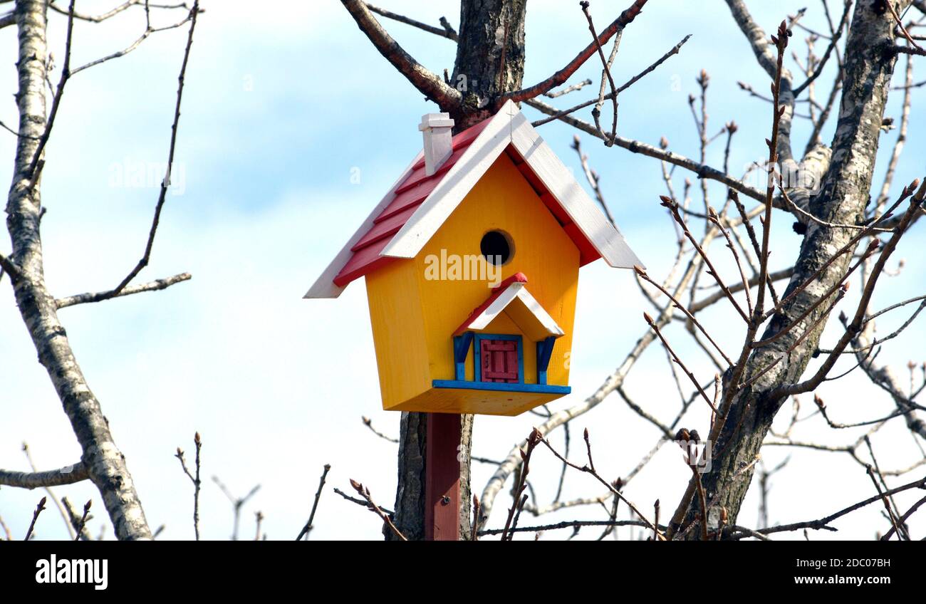 Birdhouse in legno giallo con tetto rosso. Appeso sull'albero su sfondo blu del cielo. Molla Foto Stock