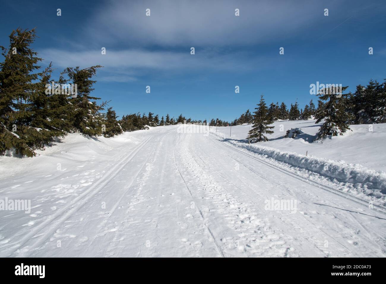 Strada coperta di neve con piccoli alberi e cielo blu soffietto Praded collina in Jeseniky montagne nella repubblica Ceca durante l'inverno mattina Foto Stock