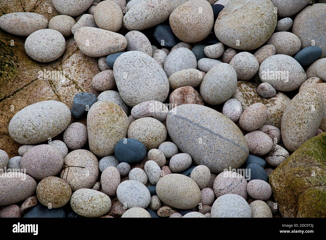 Ghiaia perfetta e liscia, catturata a Porth Nanven Cove nella Cornovaglia Occidentale, Gran Bretagna Foto Stock