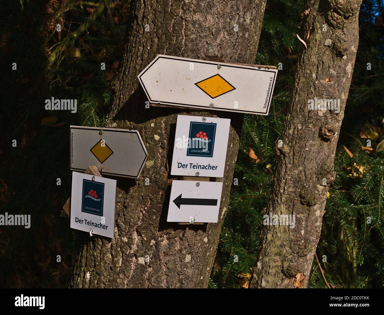 Bad Teinach-Zavelstein, Germania - 11/14/2020: Segnavia con frecce che puntano in diverse direzioni sul sentiero escursionistico nella Foresta Nera. Foto Stock