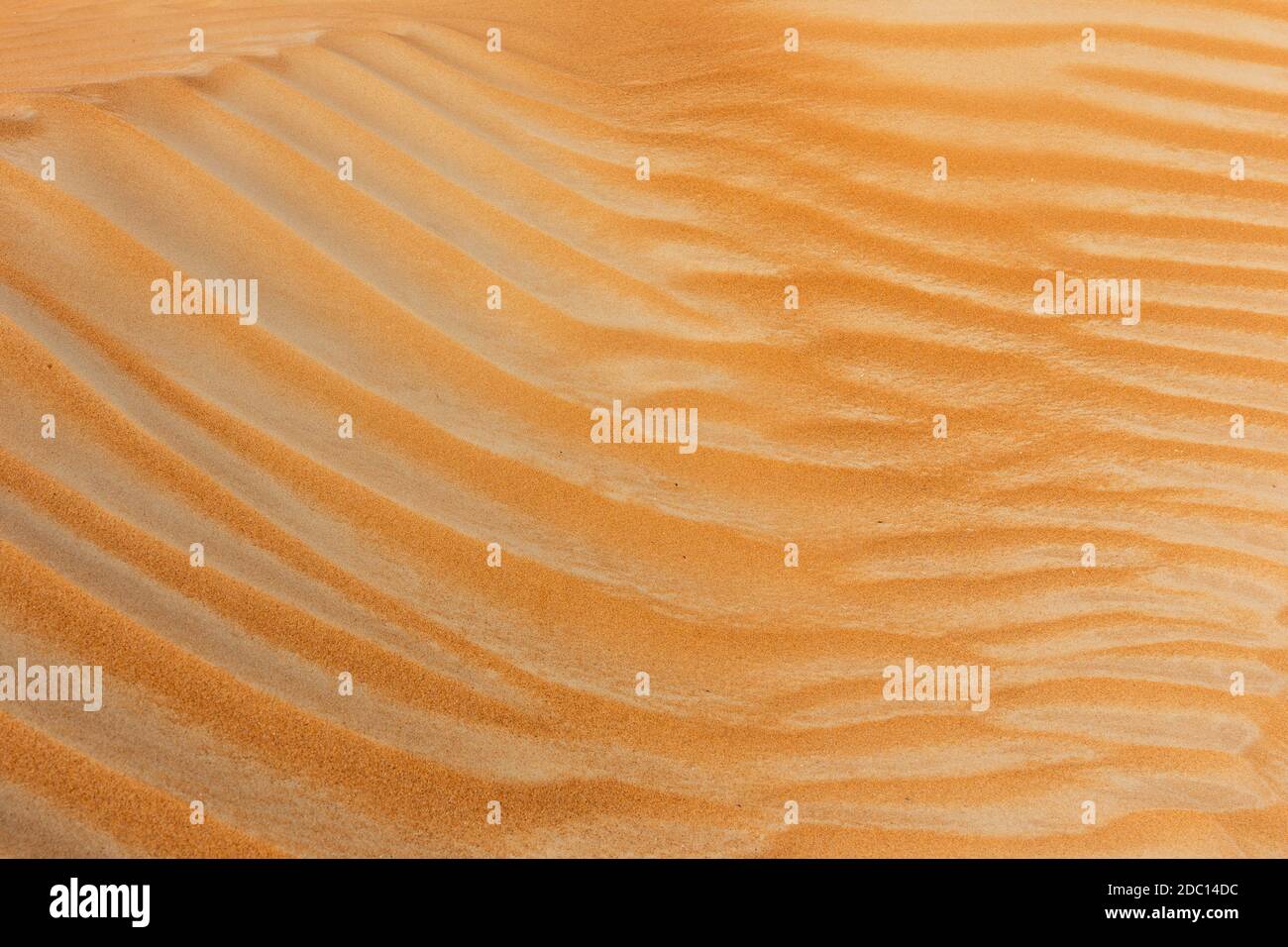 Vista ravvicinata della texture delle dune di sabbia, con andamento delle onde formato dal vento, Dubai, Emirati Arabi Uniti. Foto Stock