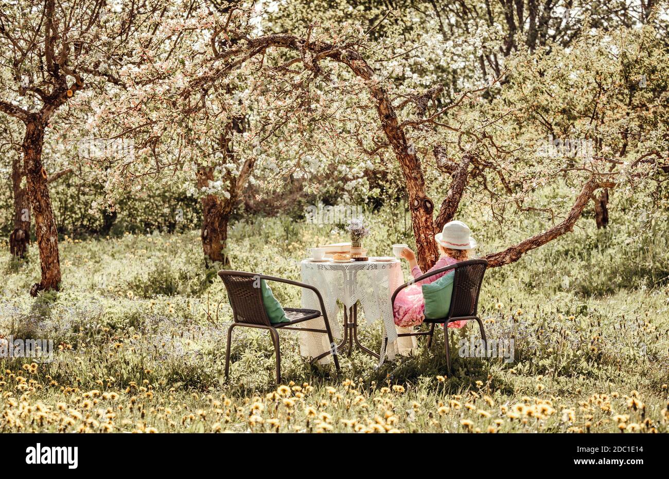 bambina di 6 anni in abito rosa estivo sedersi su sedia da giardino da tavolo, sotto alberi di mele in fiore nel sole primavera giorno. Foto arancione calda moderna. Foto Stock