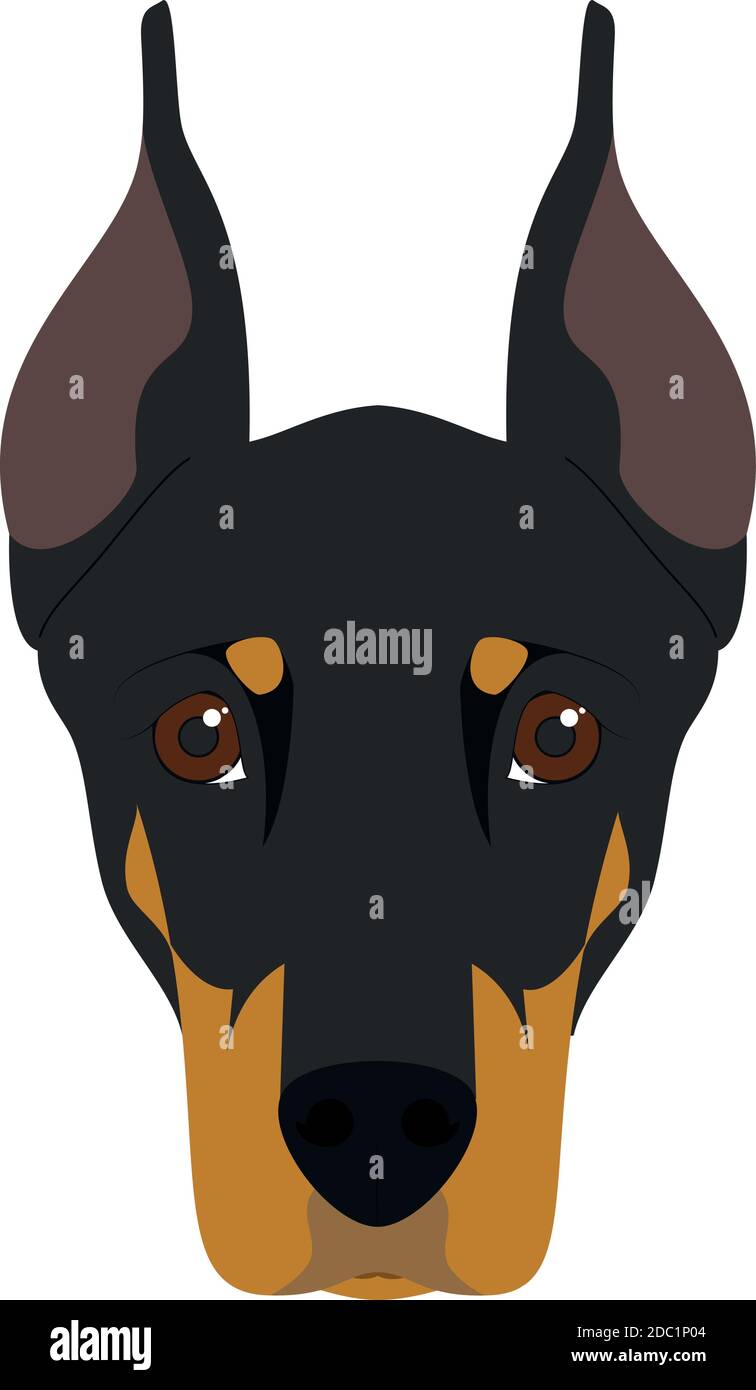 Doberman cane isolato su sfondo bianco vettore illustrazione Illustrazione Vettoriale