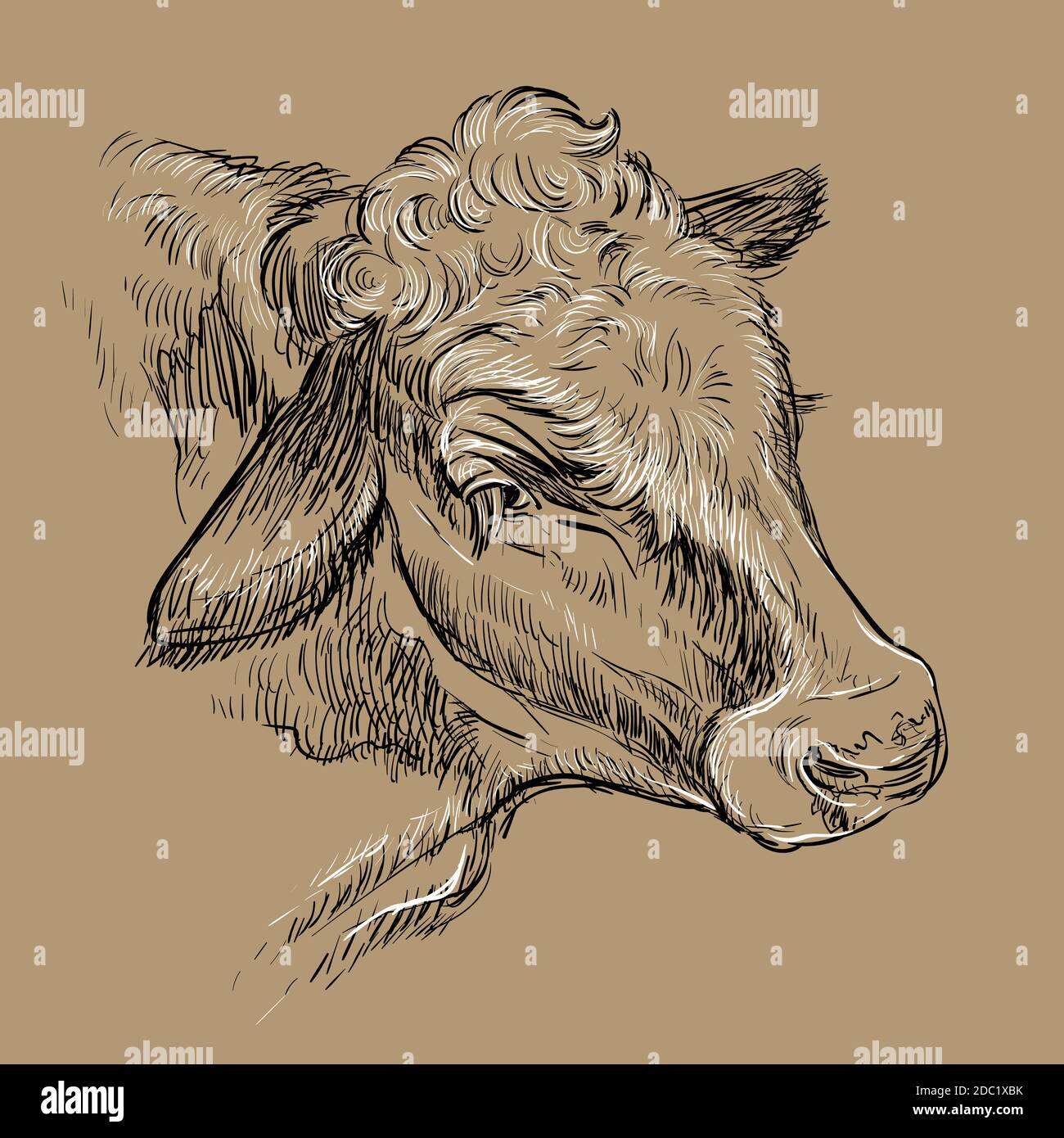 Ritratto di dreamy mano di vacca disegno illustrazione marrone Illustrazione Vettoriale