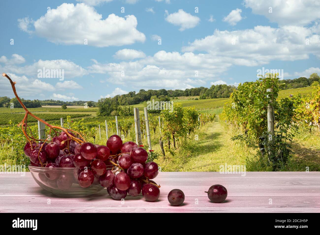 un mazzo di uve rosa Foto Stock