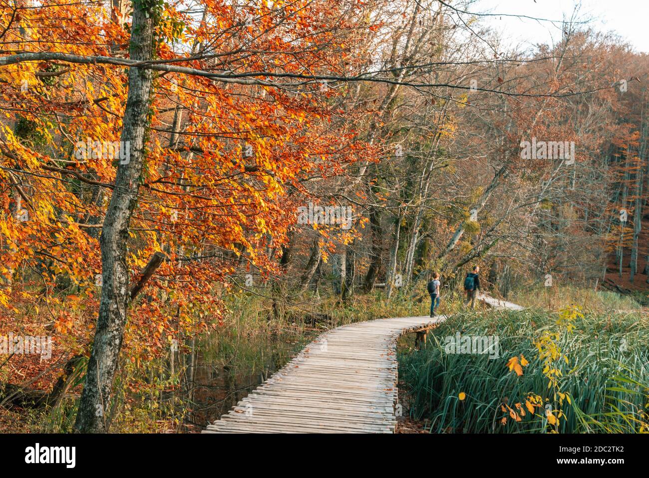 I turisti camminano lungo il sentiero in legno nel Parco Nazionale dei Laghi di Plitvice, Croazia. Sfocatura del movimento Foto Stock