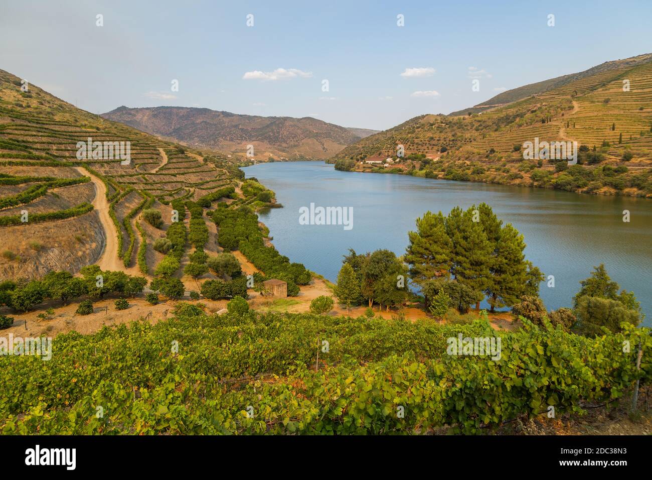 Fiume Douro che scorre nel nord del Portogallo. Regione di Douro. Foto Stock