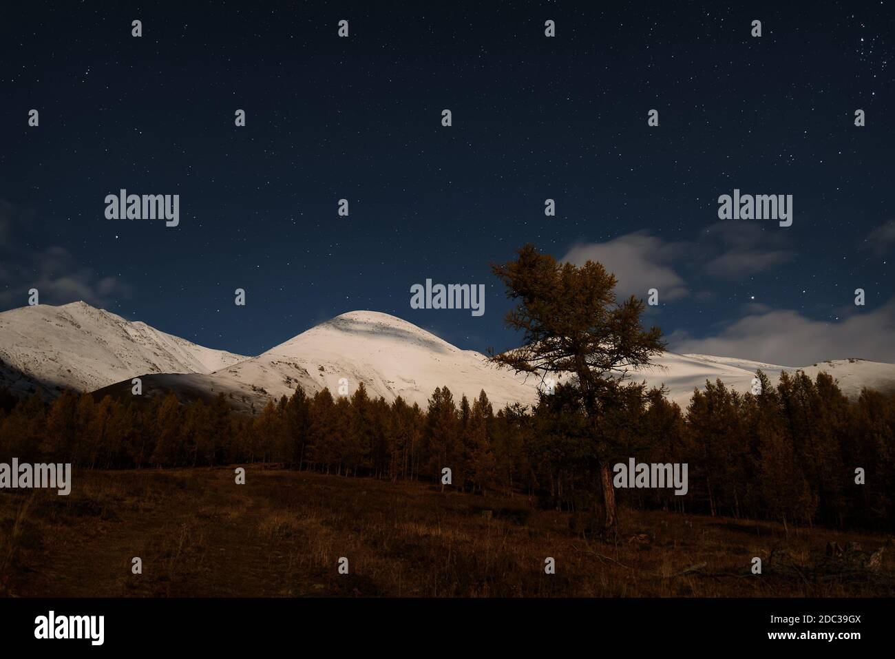 Paesaggio notturno panoramico con nuvole e stelle nel cielo su montagne innevate e foresta al chiaro di luna in autunno Foto Stock