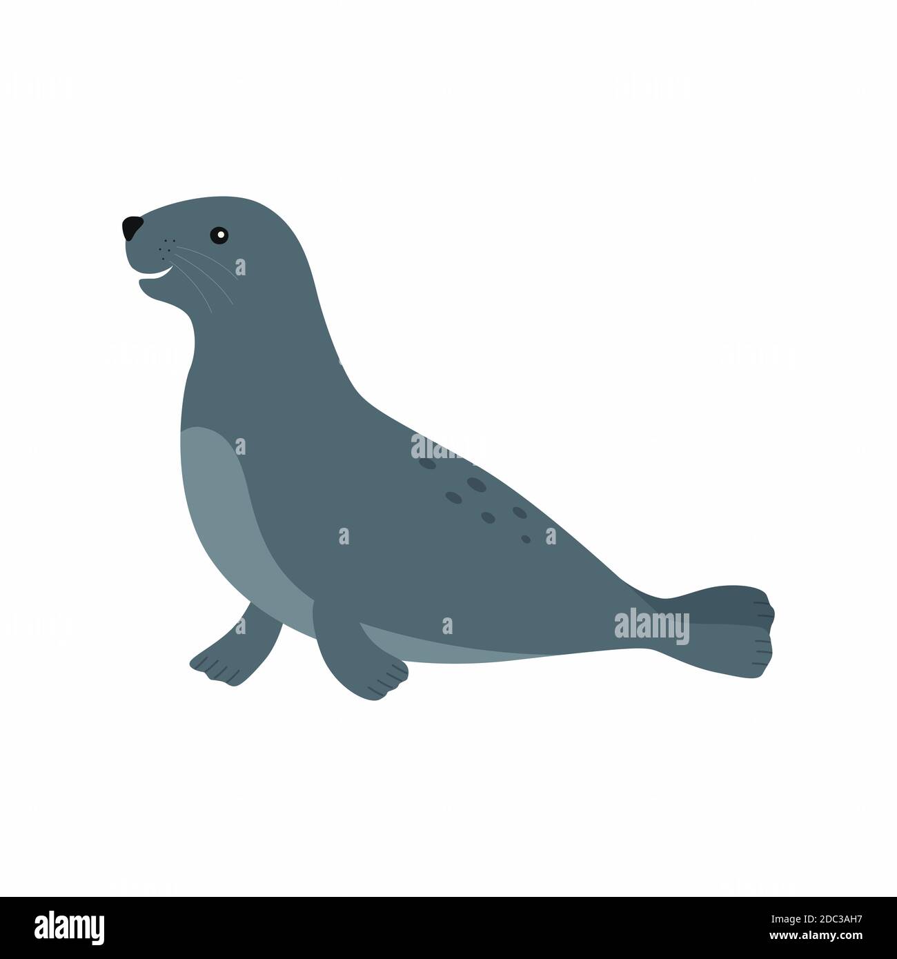Sealion. Illustrazione vettoriale isolata su sfondo bianco. Illustrazione Vettoriale