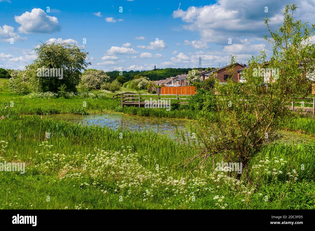 Il paesaggistico 'Engine Pond', l'unico residuo sopravvissuto delle opere della metà del XIX secolo a Droppingwell Colliery, a Kimberworth, vicino Rotherham. Foto Stock