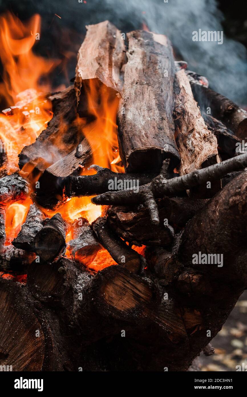 Fuoco che brucia rami di albero, briglia che brilla. Foto Stock