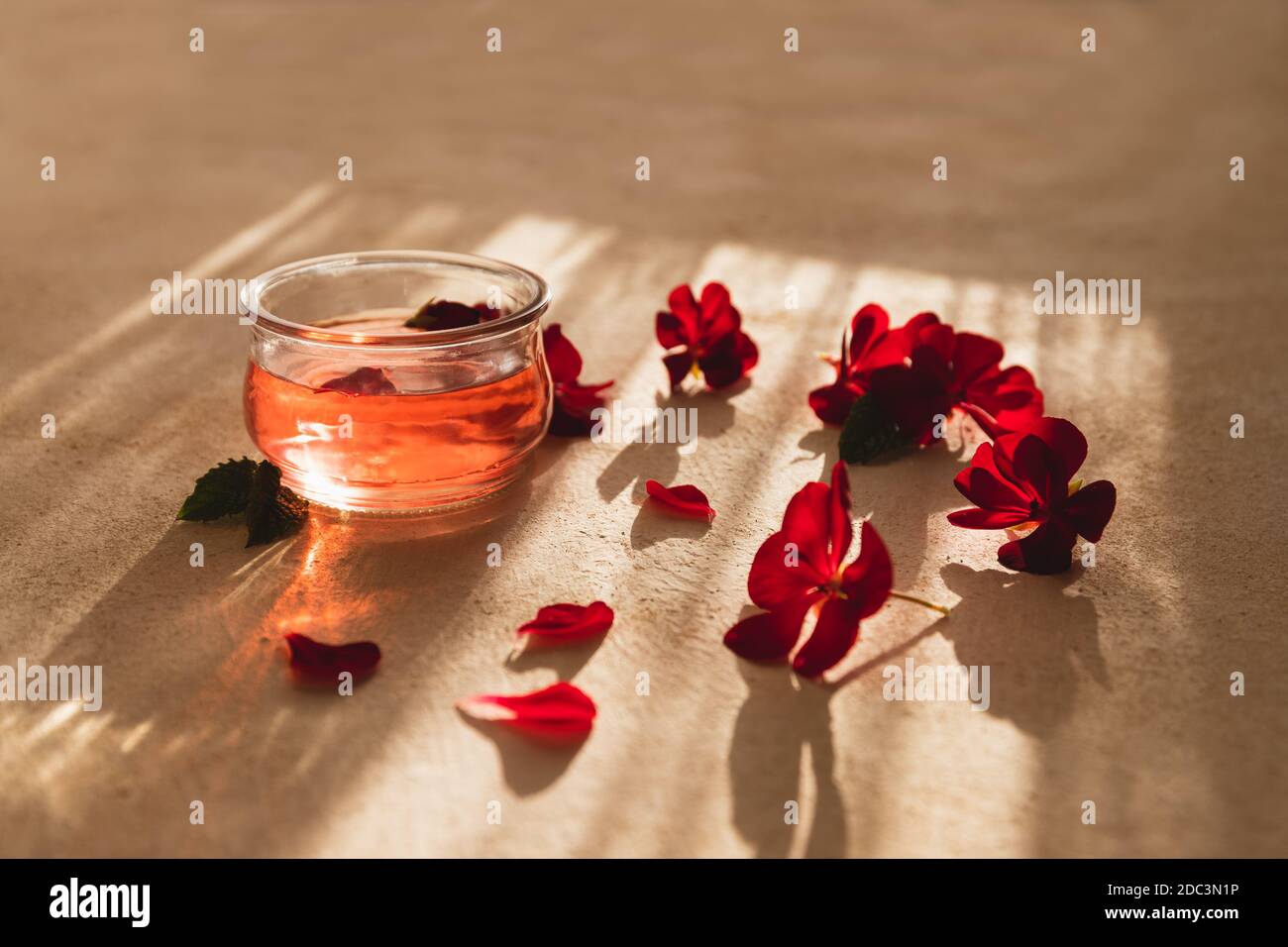 Ciotola di vetro piena di acqua di rosa organica e petali di rosa sul lato. Luce solare dura su uno sfondo morbido color bucato. Trattamenti termali, olio di rosa, aromatizzanti Foto Stock