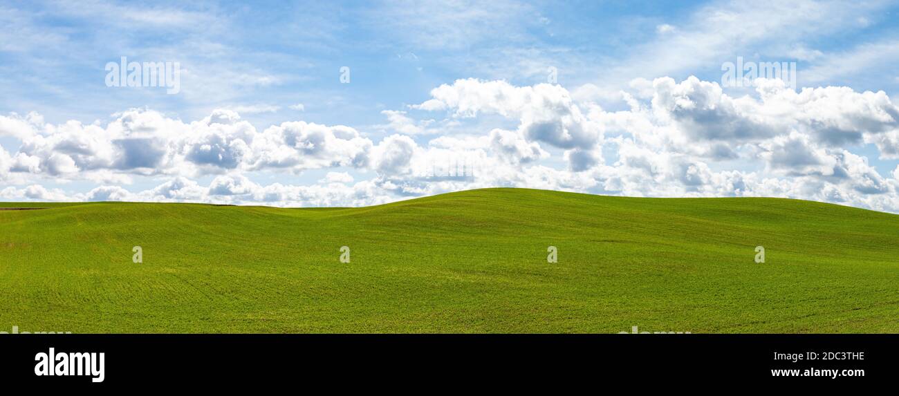 Nuvole bianche soffici e cielo blu su un enorme bello idilliaco e vibrante campo erboso verde con dolci colline in lo sfondo Foto Stock