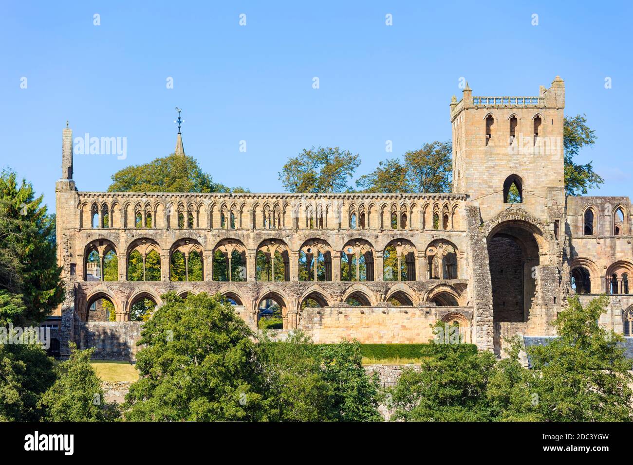 Jedburgh Abbey Jedburgh Scottish Borders Roxburgh, Ettrick e Lauderdale Scotland GB UK Europe Foto Stock